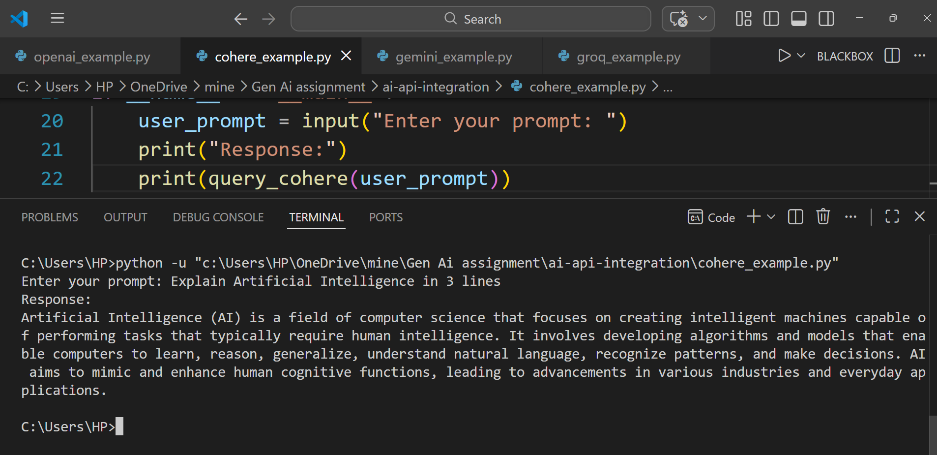 AI API Integration Project | ai-api-integration